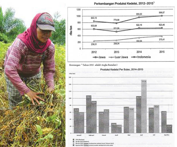 Produksi Kedelai 2015 Hampir Sejuta Ton, Naik 4,59% dari 2014